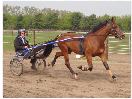 tweejarige