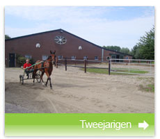 tweejarigen