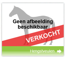 veulen