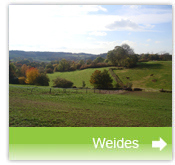 weides